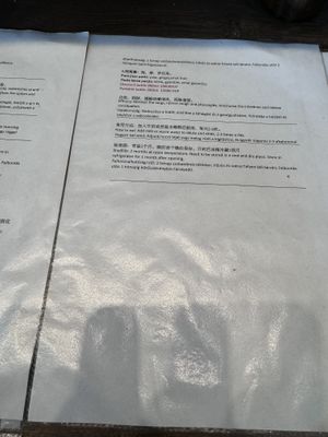   at Happy Veggie - 天街素食 in Budapest