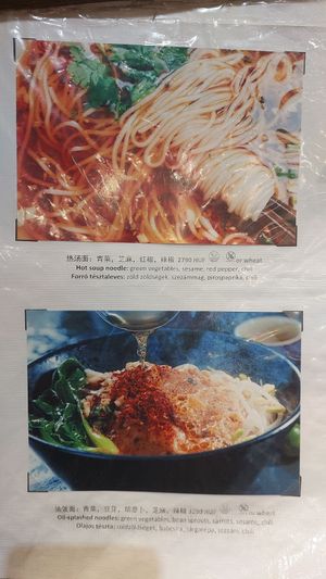  at Happy Veggie - 天街素食 in Budapest