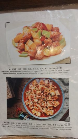  at Happy Veggie - 天街素食 in Budapest