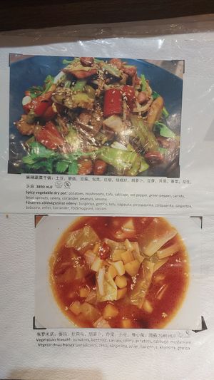  at Happy Veggie - 天街素食 in Budapest