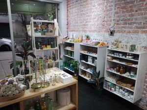 Plants 🌱 #Veganuary at Alcachofa y Romero in Mexico City