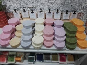 All vegan 🌱 #Veganuary at Alcachofa y Romero in Mexico City