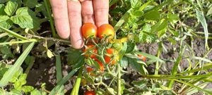  at Riviera Punta Cana in Punta Cana