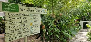  at Riviera Punta Cana in Punta Cana