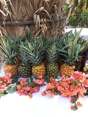  at Riviera Punta Cana in Punta Cana