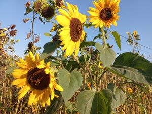  at Riviera Punta Cana in Punta Cana