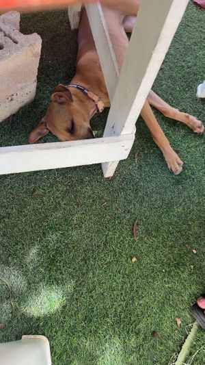   at Riviera Punta Cana in Punta Cana