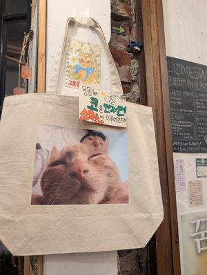  at Mungmong Mannam - 뭉몽만남 in Gwangju