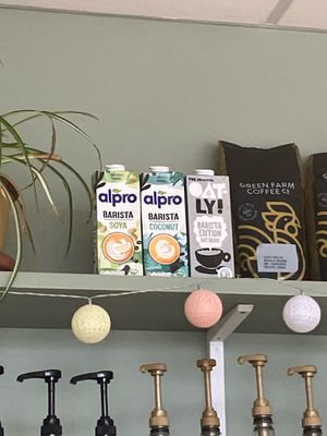   at Snowdrop Coffee Shop in Norwich