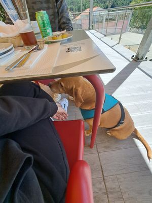  at O Vicente in Loriga