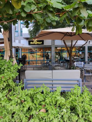  at The Sprout in Auroville