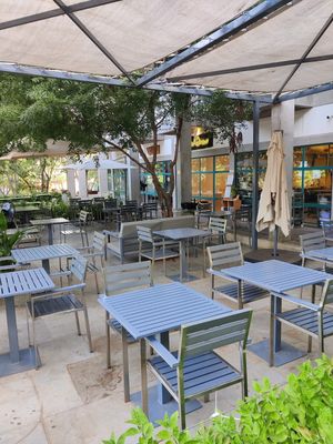  at The Sprout in Auroville