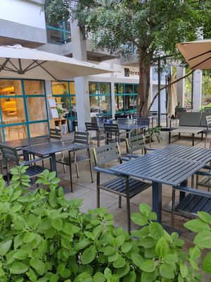  at The Sprout in Auroville