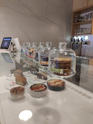  at The Sprout in Auroville