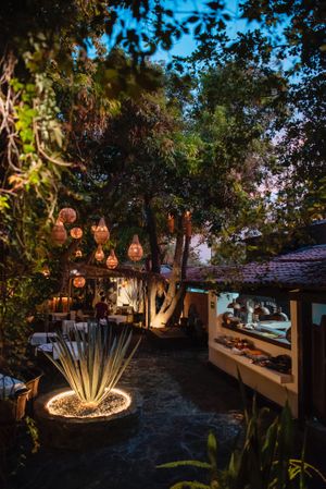  at Tequila Restaurant in San Jose Del Cabo