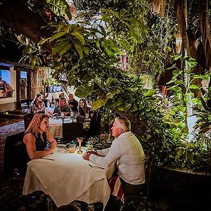  at Tequila Restaurant in San Jose Del Cabo