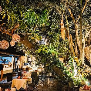  at Tequila Restaurant in San Jose Del Cabo