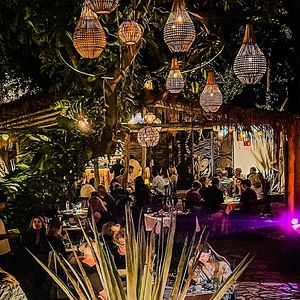  at Tequila Restaurant in San Jose Del Cabo
