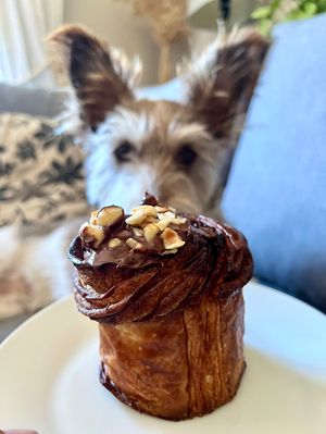  #Veganuary at Okja - Kloof in Cape Town