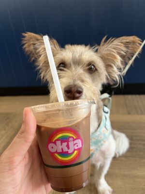   at Okja - Kloof in Cape Town