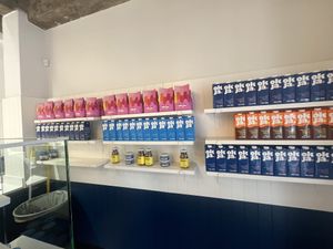   at Okja - Kloof in Cape Town