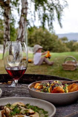 picnic at EvenFall Wines  in Legana