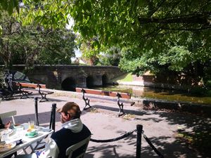 Outside swaying by the river at The Salisbury Orangery in Salisbury
