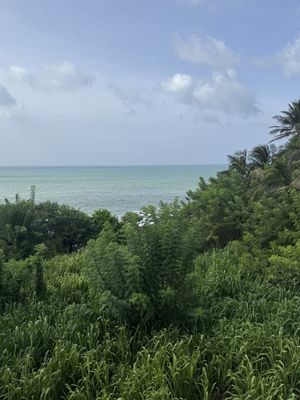 Stunning view from roof terrace   at Mond in Dikwella