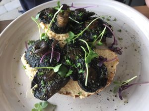 Mushrooms on Hummus and Toast at Wharf Road in Coromandel