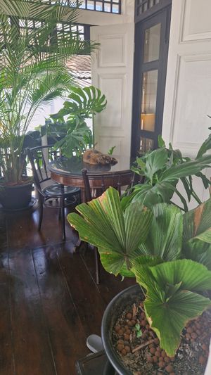  at Vegan Mahanakhon in Bangkok