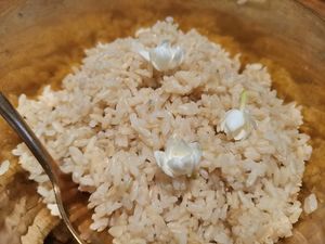  at Vegan Mahanakhon in Bangkok