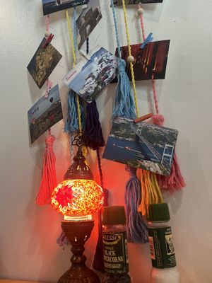   at Mio's Grill & Cafe in St Petersburg