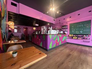   at Café Mas in Chicago