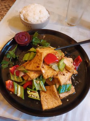 Homemade tofu with vegetables and rice (nr. 49) at Mui Gong 梅江饭店 in Lund