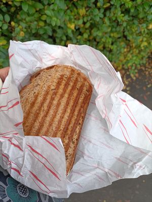 Cheese and sun-dried tomato pesto toastie at The Green Goose in Glasgow