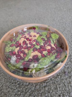 Falafel salad bowl. The pesto and hummus tasted great. Big portions. at The Green Goose in Glasgow