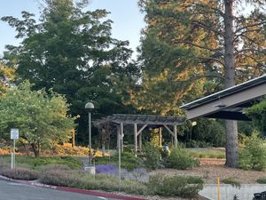 A nice bench to hang out on a nice day  at Briar Patch Co-op Community Market in Grass Valley