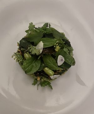 3rd  at Source At Gilpin Hotel in Windermere