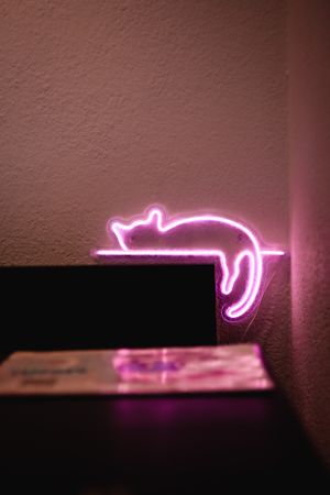 Meow at Meow Pizzeria Verde in Innsbruck