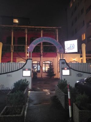 Vegan paradise at Meow Pizzeria Verde in Innsbruck