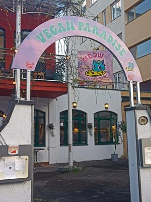  at Meow Pizzeria Verde in Innsbruck