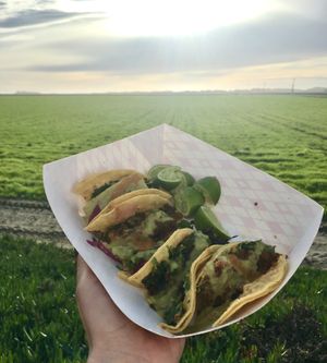 In between Castroville and Moss Landing at the Thistle Hut.  at Fredo's Vegan Tacos in Castroville