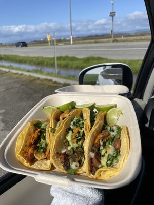   at Fredo's Vegan Tacos in Castroville