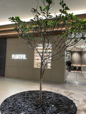 Front   at Plantiful  in Bangkok