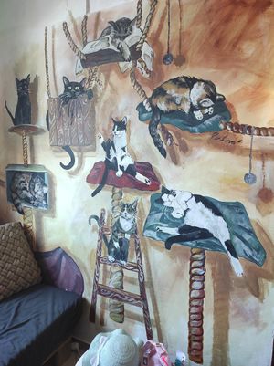  at Mačkafé in Bratislava