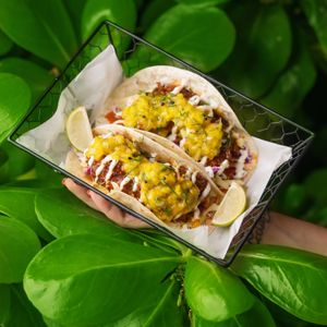 Korean Buffalo Chicken Tacos! Crispy and tender and pulls just like chicken! at Replika in Dubai