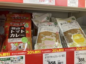 Vegan curry  at Fuji - フジ鵠沼店 in Fujisawa