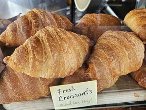  at Lynch's Hub in Newcastle