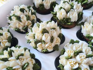  at Mush  in Limerick