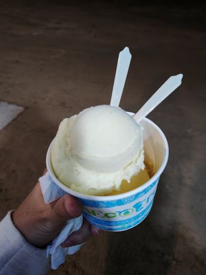 Passionfruit and pineapple at Ecofrost in Puerto Villamil